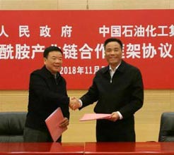Yes! Hunan Province and Sinopec signed the Framework Agreement on the Relocation, Upgrading, Transition and Development of Caprolactam Industry Chain of Sinopec Baling Petrochemical Company.